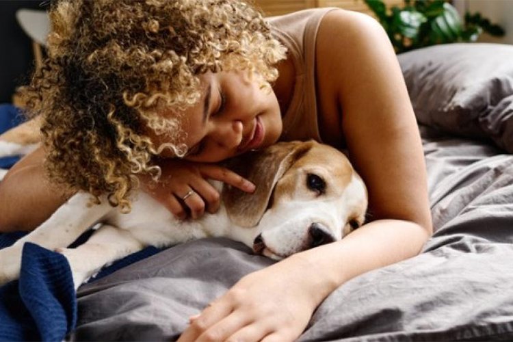 Here's how to know when it's time to put your dog to sleep