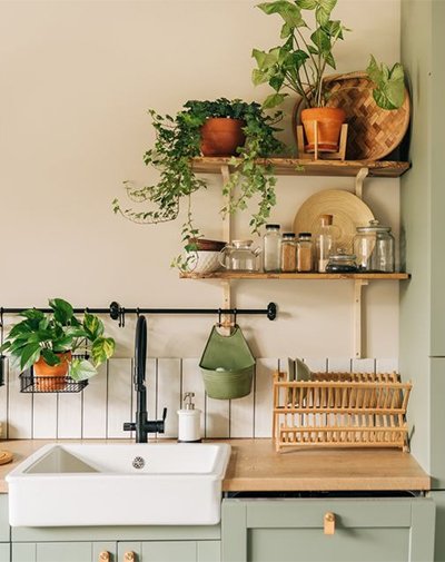 10 Houseplants That Will Thrive in Your Kitchen