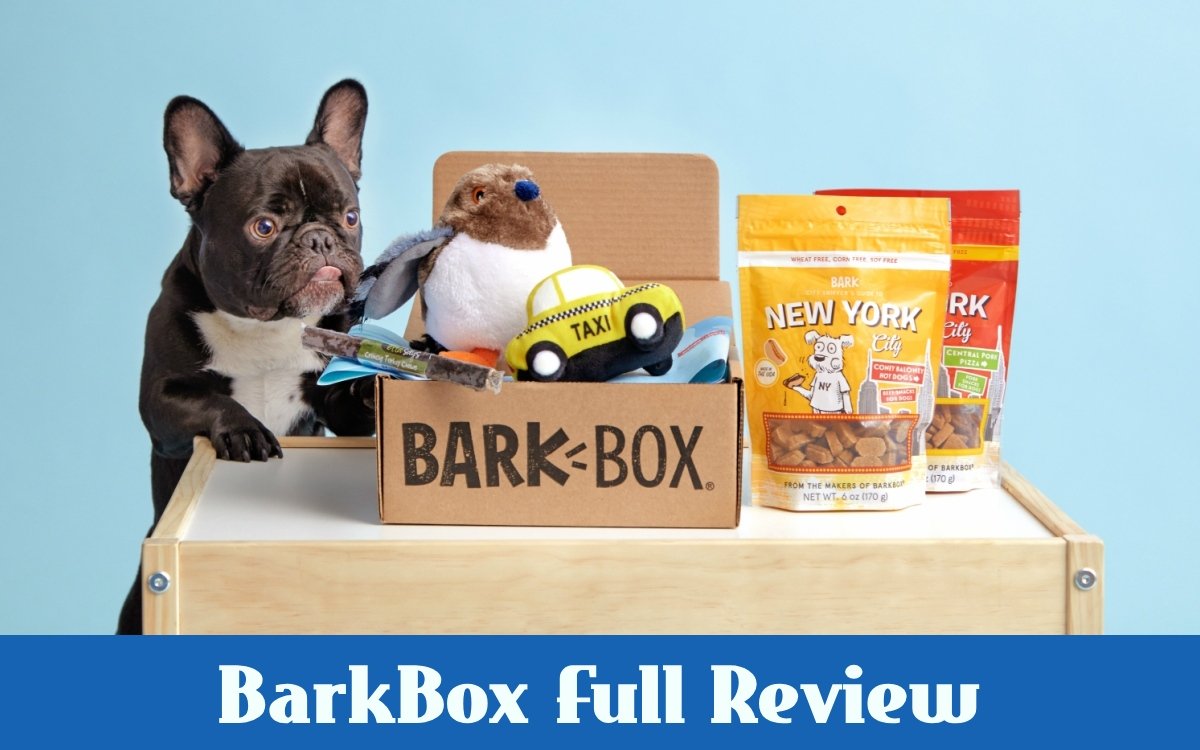 BarkBox Review