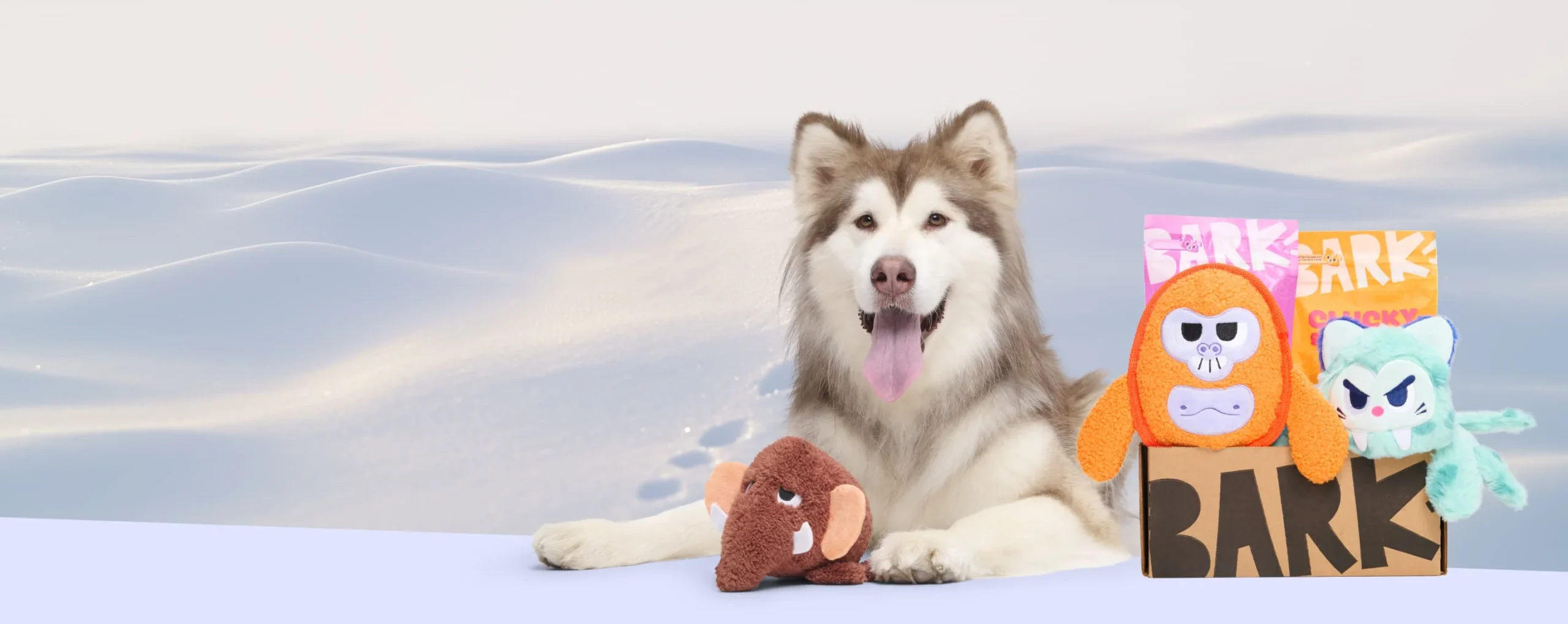 Barkbox_New_Featured_Image